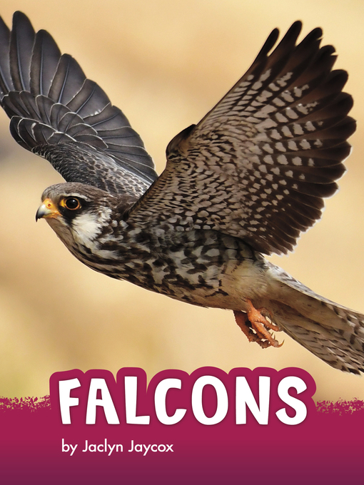 Title details for Falcons by Jaclyn Jaycox - Wait list